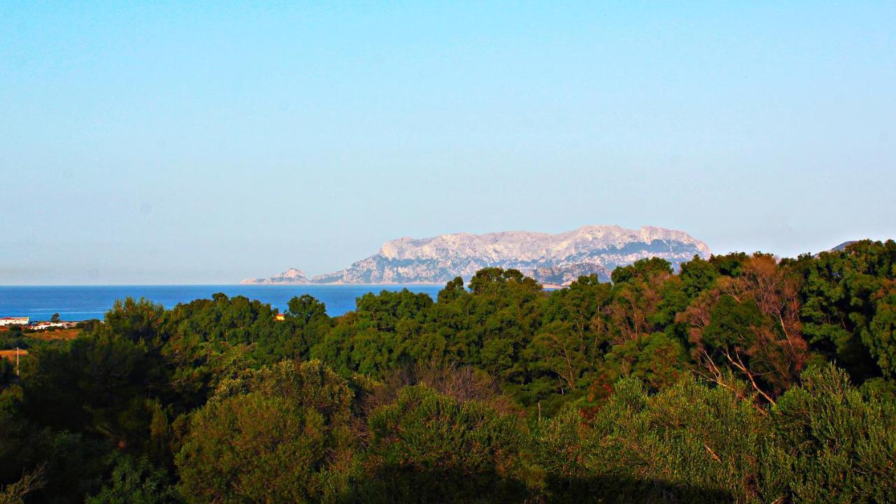 Sole Matto Rooms Olbia Bagian luar foto