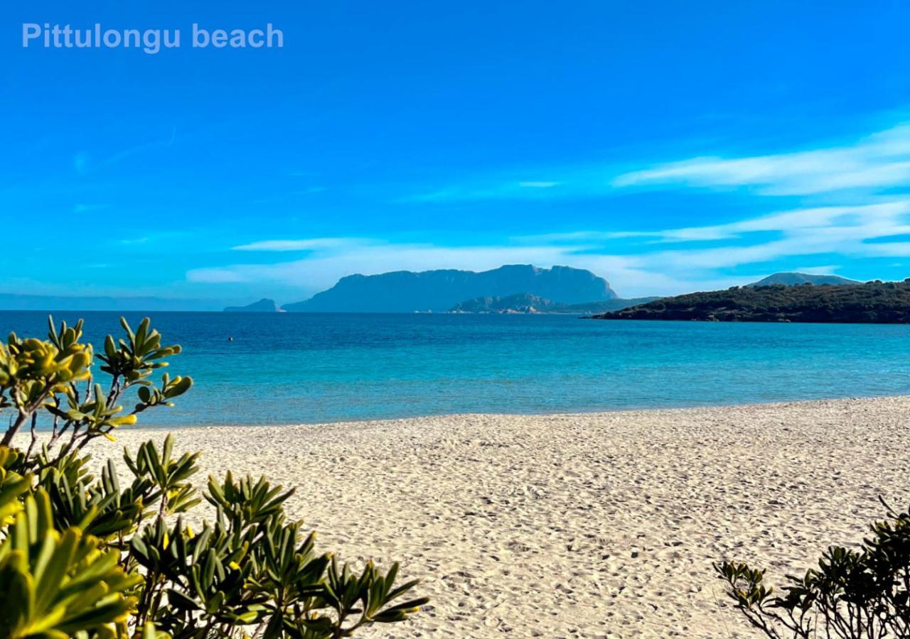 Sole Matto Rooms Olbia Bagian luar foto